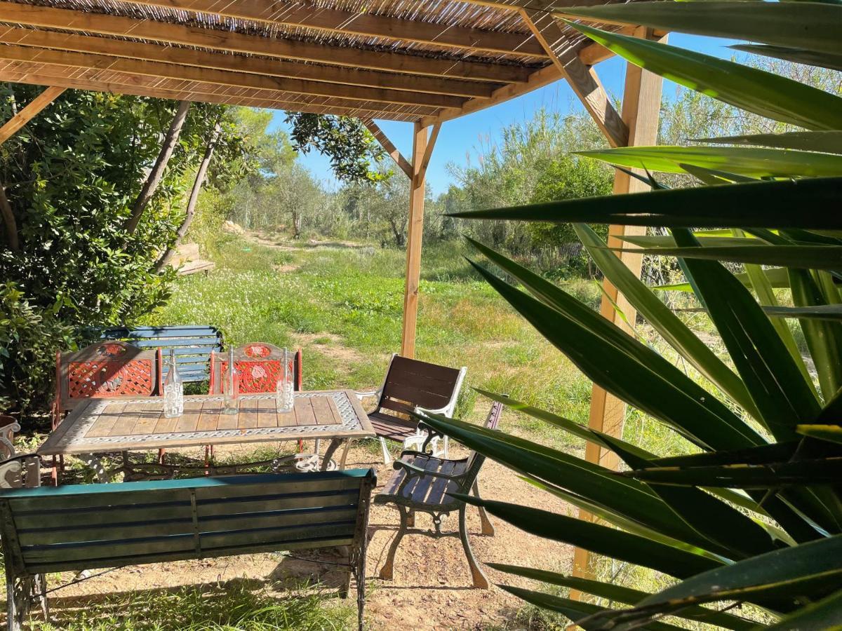 Casa Rural Con Jardin,A 8Km Playa Y En La Naturaleza Taronja&Canyella Ardenya Eksteriør bilde