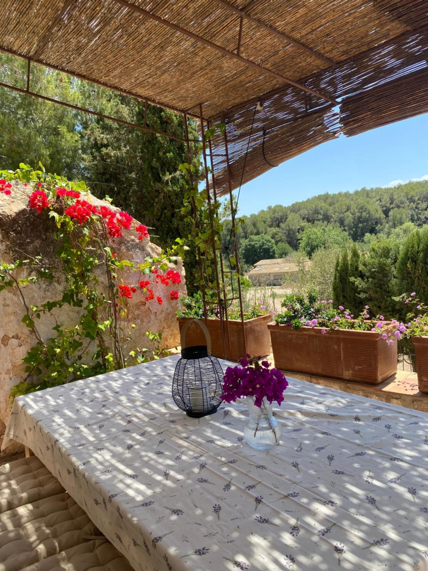 Casa Rural Con Jardin,A 8Km Playa Y En La Naturaleza Taronja&Canyella Ardenya Eksteriør bilde