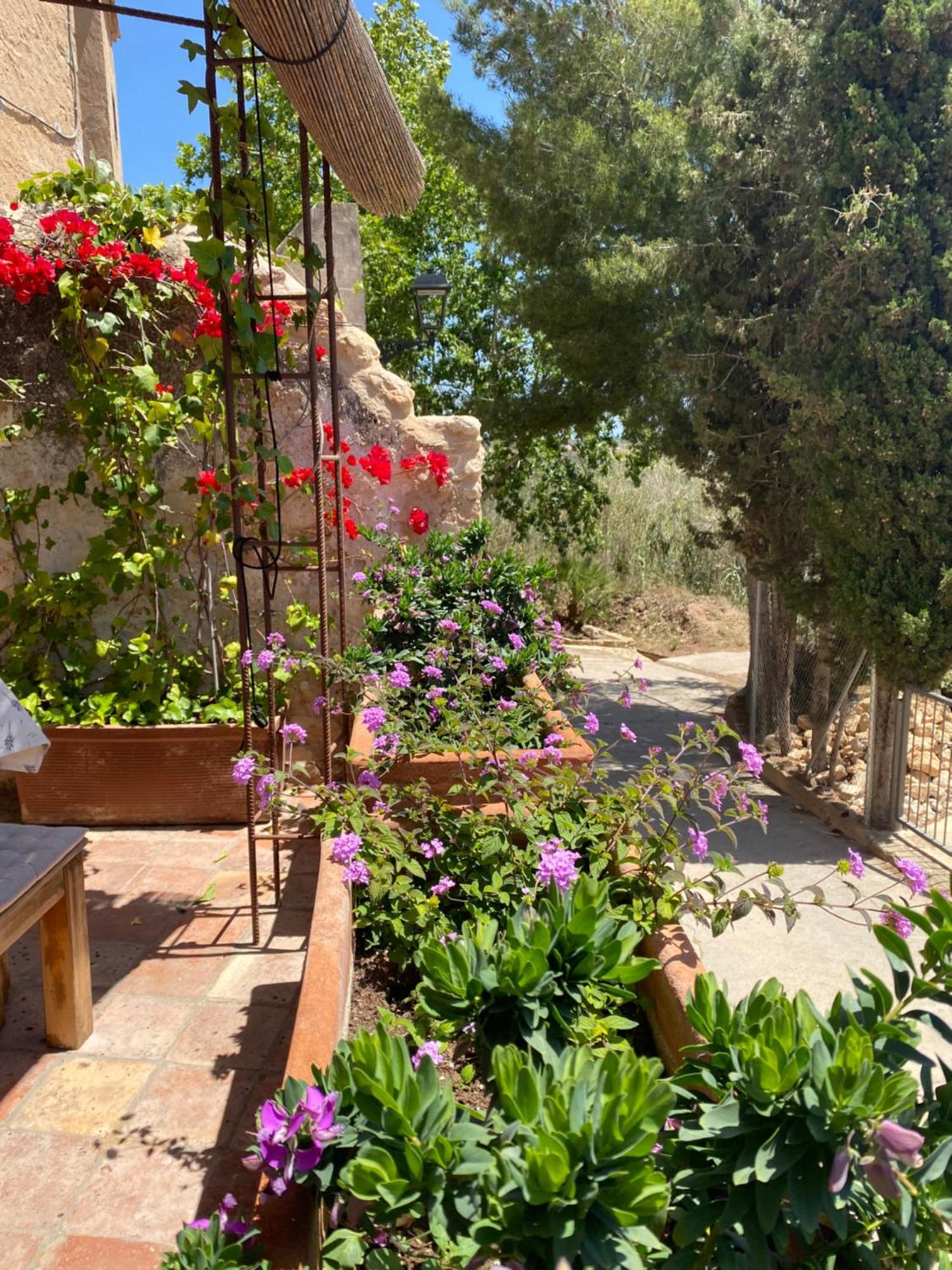 Casa Rural Con Jardin,A 8Km Playa Y En La Naturaleza Taronja&Canyella Ardenya Eksteriør bilde